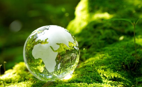 ökologische-Verantwortungsbewusstsein-Green-Logic-ch